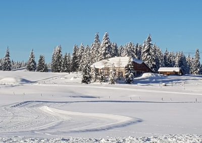 paysage maison hiver